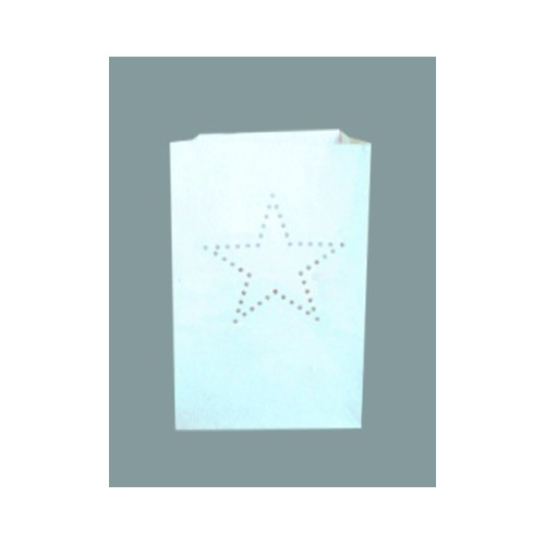 estrella bolsa papel